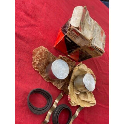 2 PISTONS ETRIERS FREIN NEUF DIAMETRE 54 GROS FREIN ALPINE A110 1800 GR4 R16TX