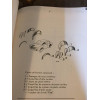Guide Département Compétition Renault 12 Gordini Moteur Alpine A110 1600S 1800