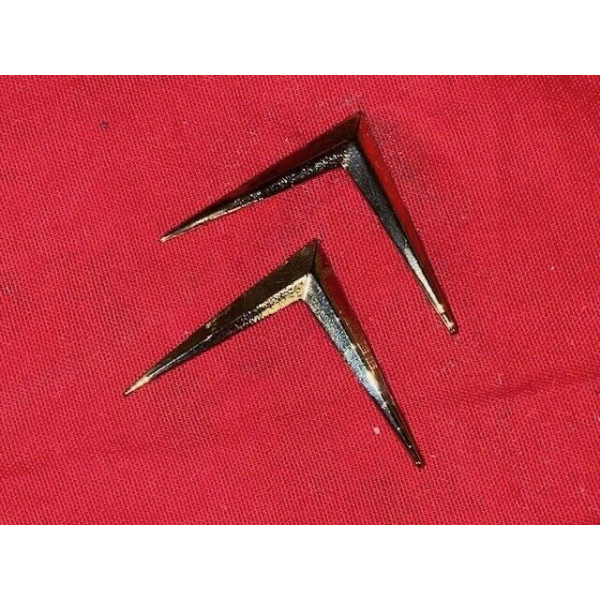 Chevron doré neuf Citroën DS Pallas