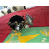 Allumeur Ducellier 3922A neuf Panhard PL17 Tigre