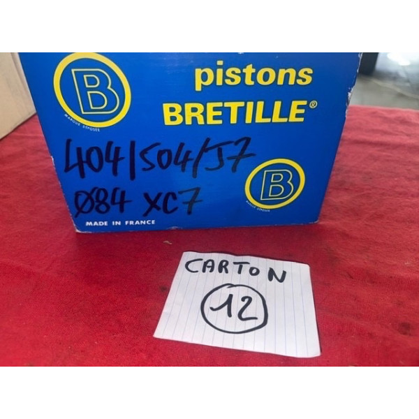 Kit Chemises Pistons Peugeot 404 504 J7 Moteur XC6 XC7
